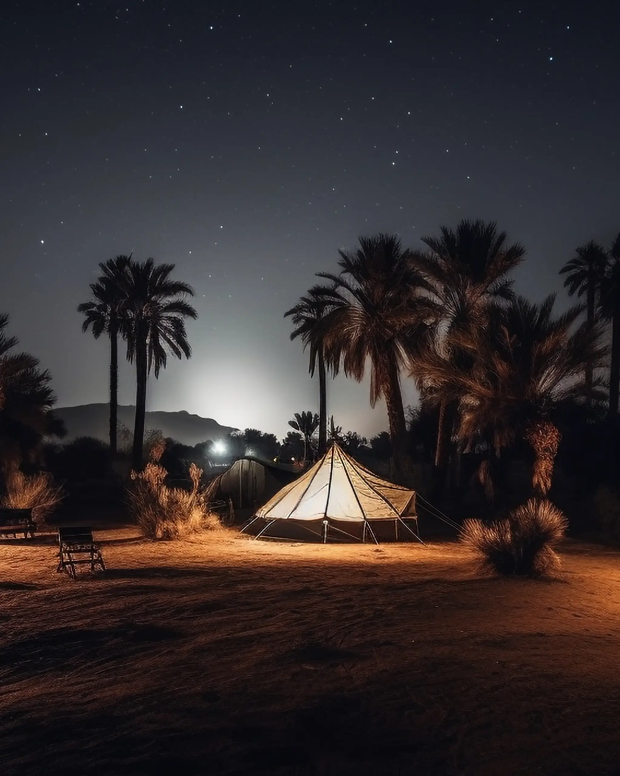 Evening Desert Safari