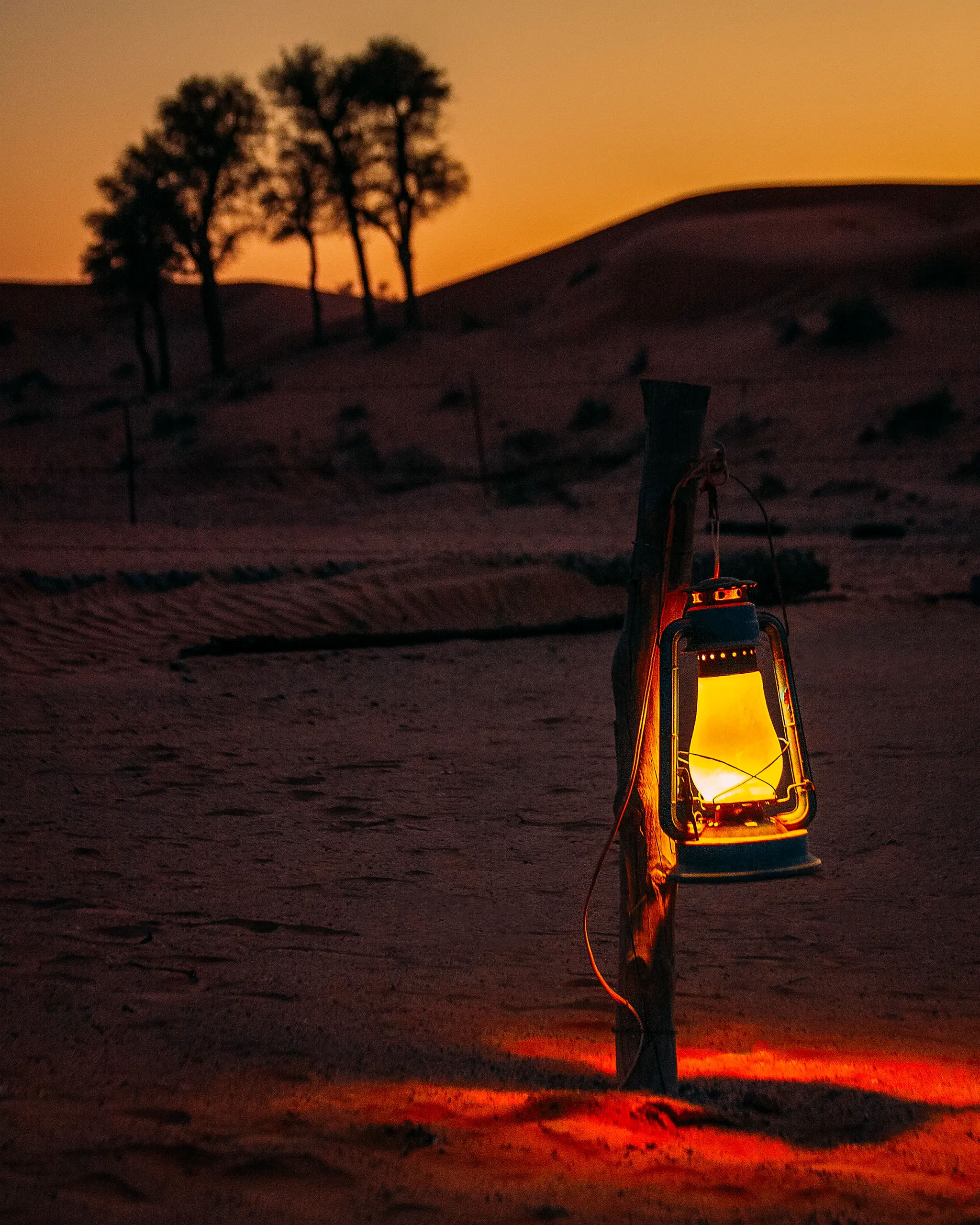 Evening Desert Safari Abu Dhabi