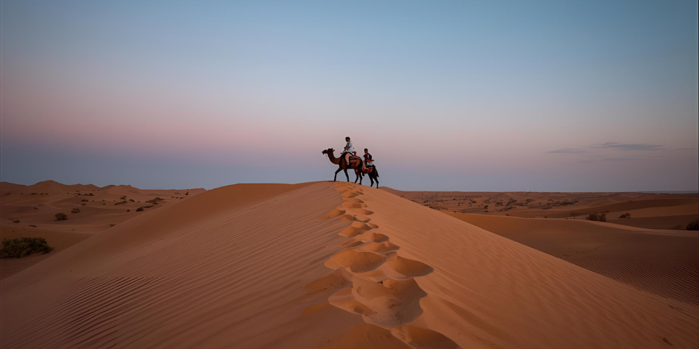 Morning Evening or Overnight Desert Safari