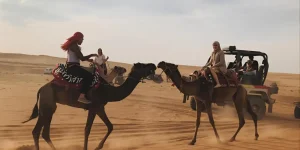 Typical Activities Included in Sharjah Desert Safari | Complete Guide, Tips & Safety