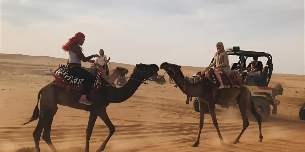 Typical Activities Included in Sharjah Desert Safari | Complete Guide, Tips & Safety